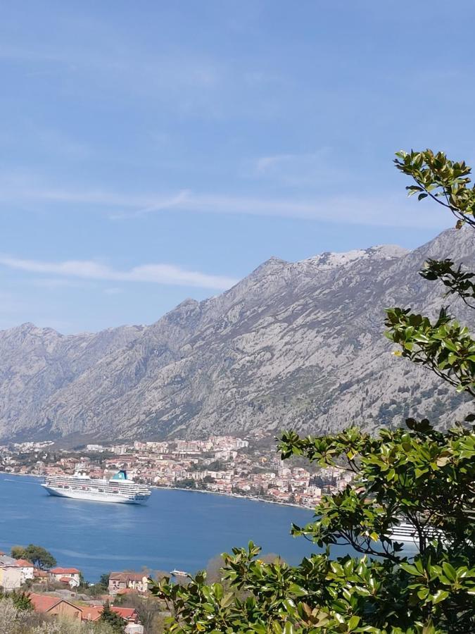 Dolce Casa Vila Kotor Exterior foto